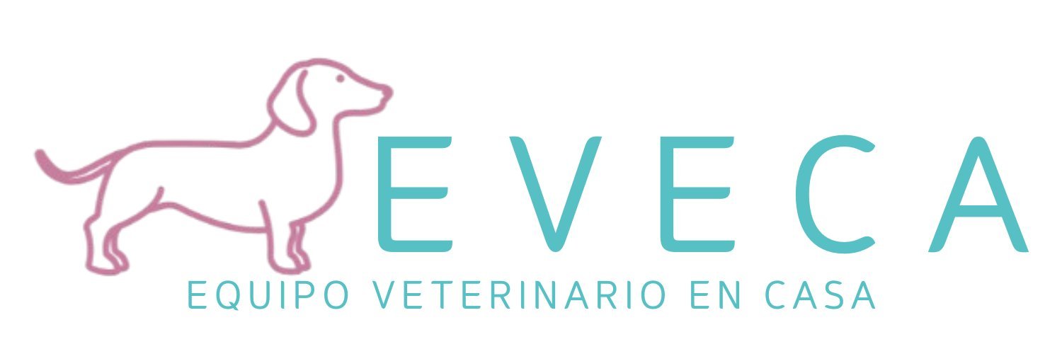 EVECA - Equipo Veterinario en Casa